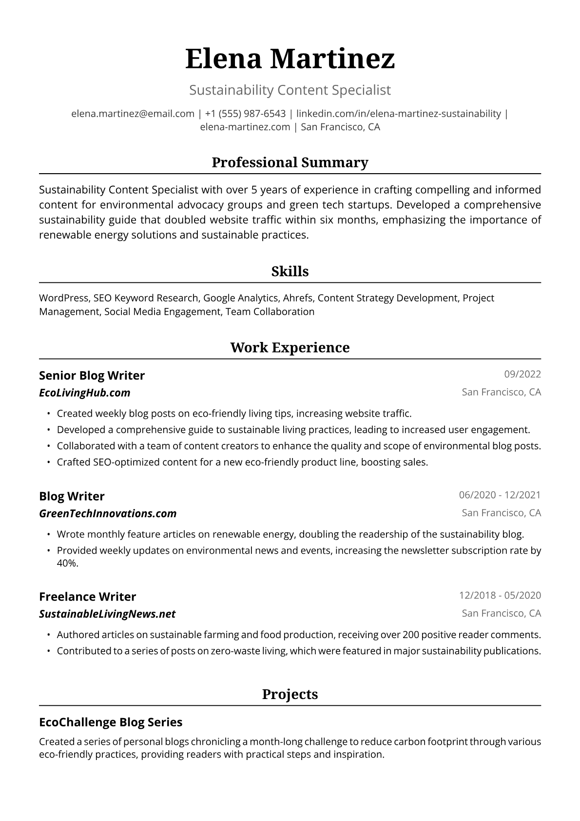 Blog Writer Resume Example
