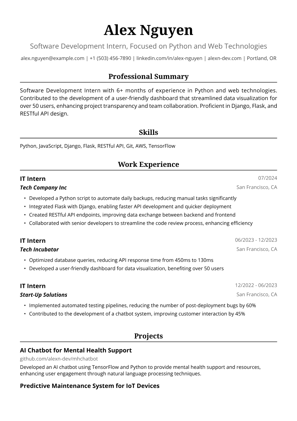 IT Intern Resume Example