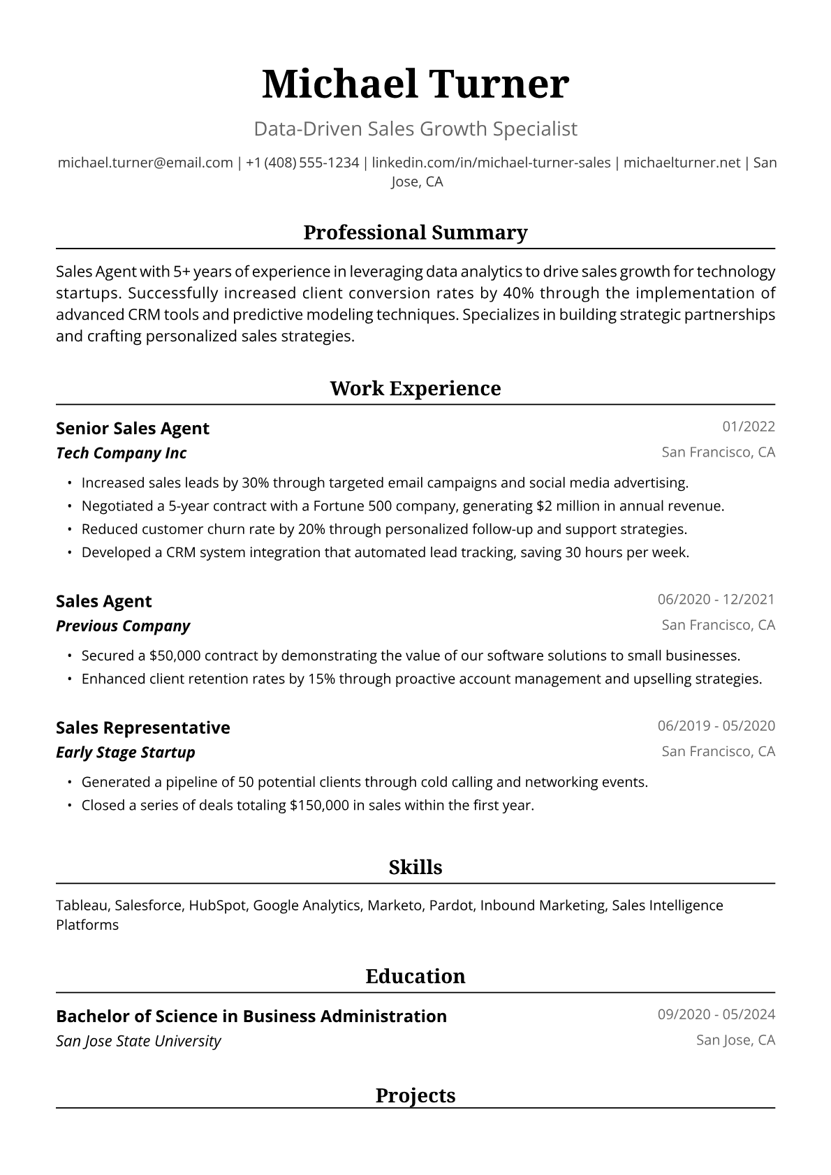 Sales Agent Resume Example