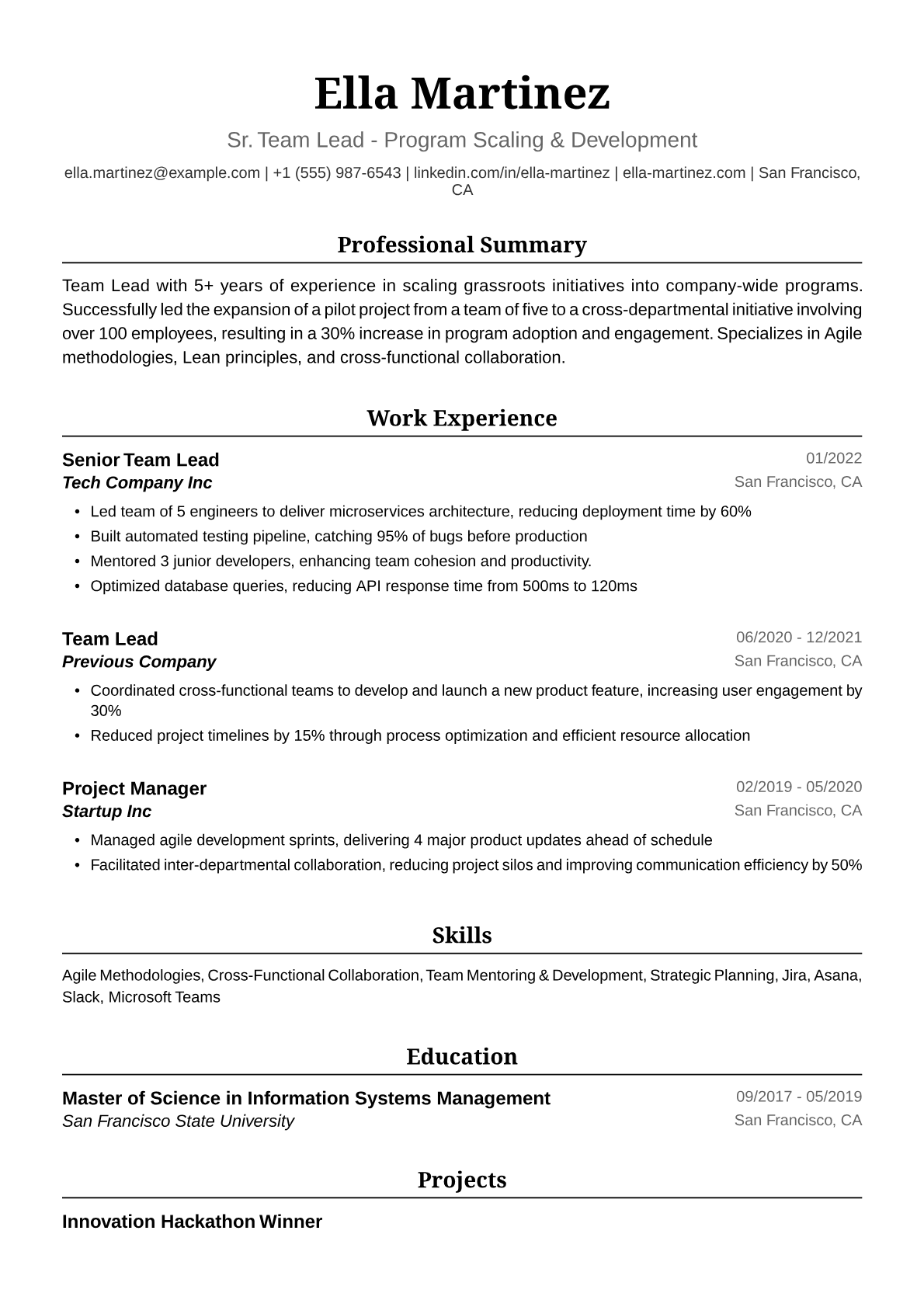 Team Lead Resume Example