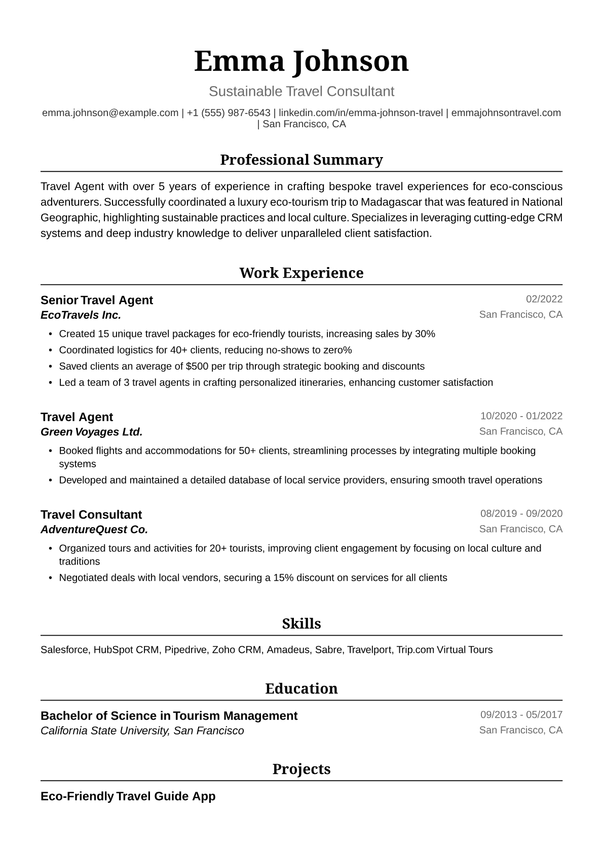Travel Agent Resume Example