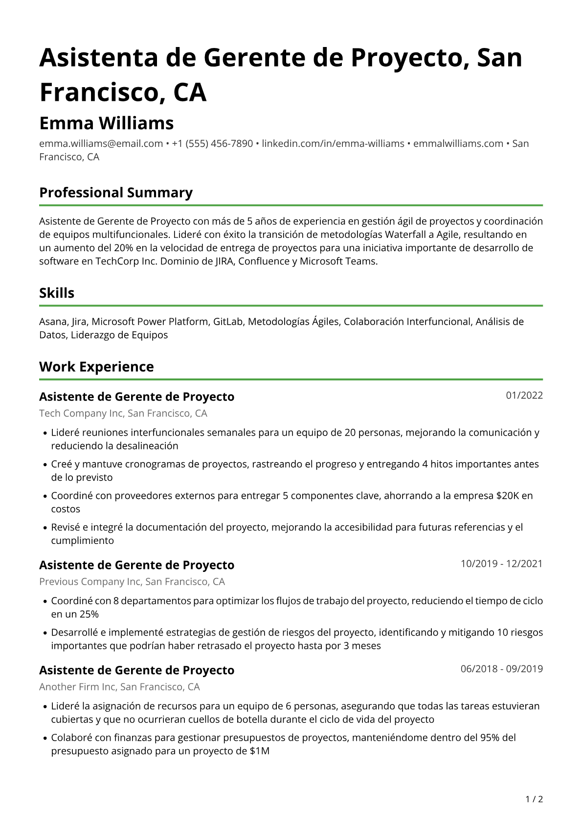 Asistente de Project Manager