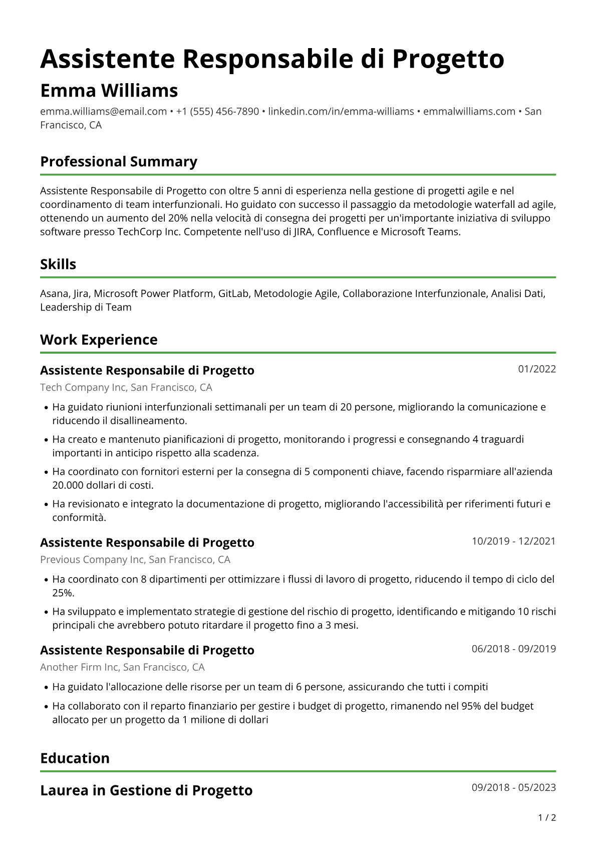 Assistente project manager
