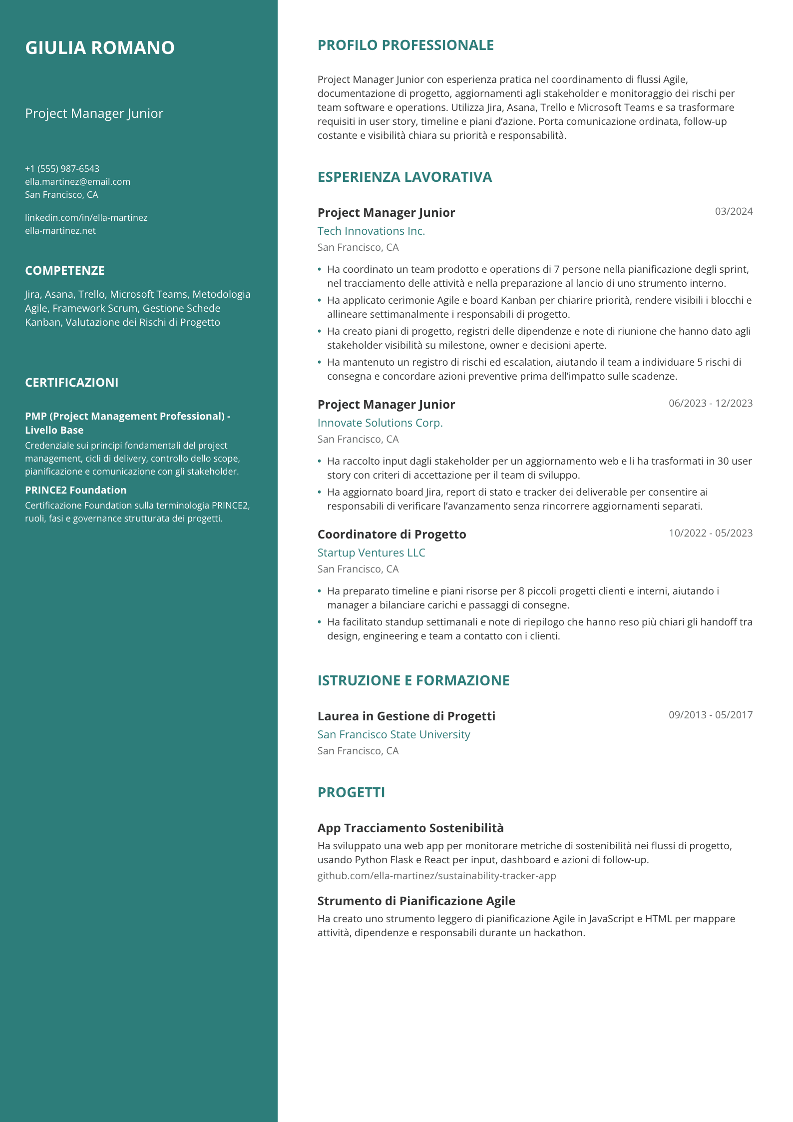 Project Manager Junior
