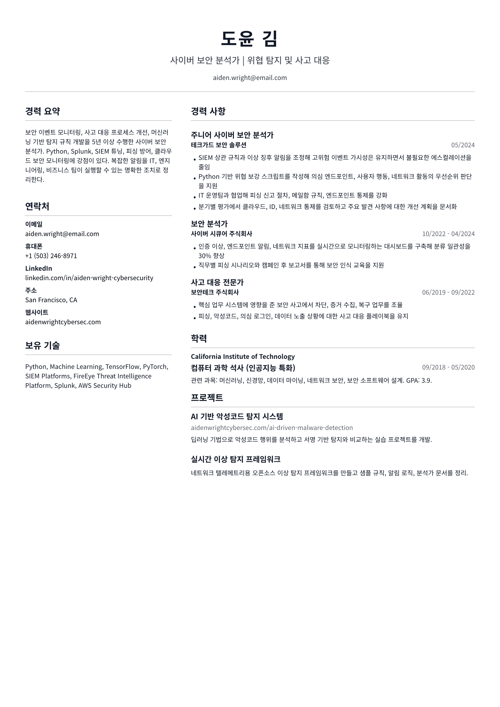 사이버 보안 분석가